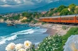 足彩-平板壁纸｜4K高清ipad电脑壁纸50张直接存