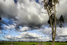 足彩NBA-里程碑,湖人布朗尼·詹姆斯承认与勒布朗·詹姆斯的历史性时刻