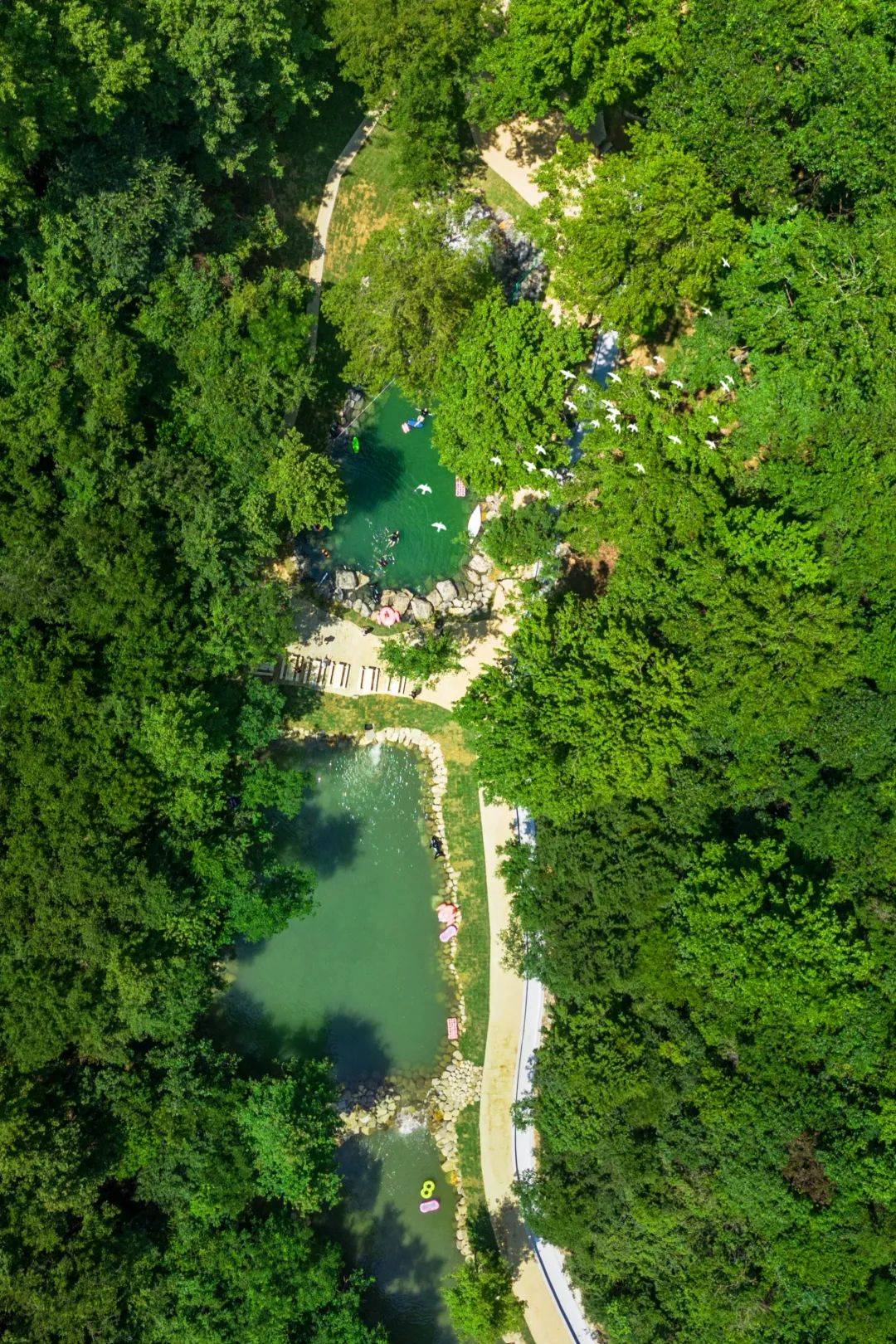 今天杭州有点“反常”?最新消息:后面还要跌!