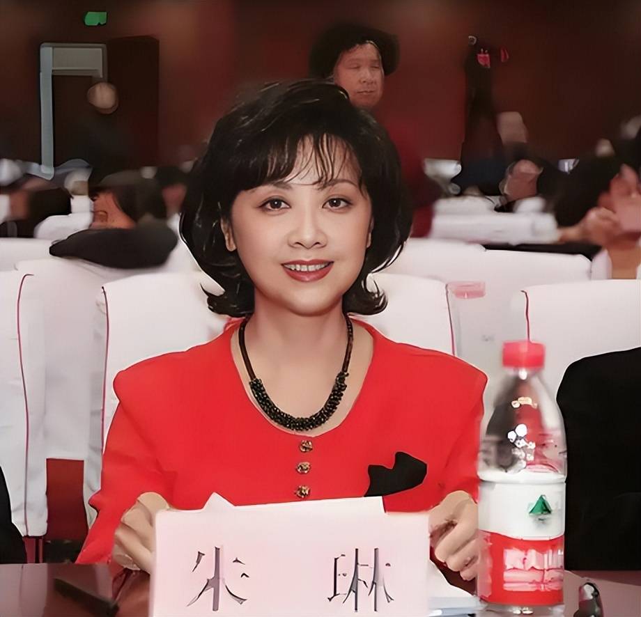 朱琳算不算顶级美人？对比赵丽颖，答案一目了然。