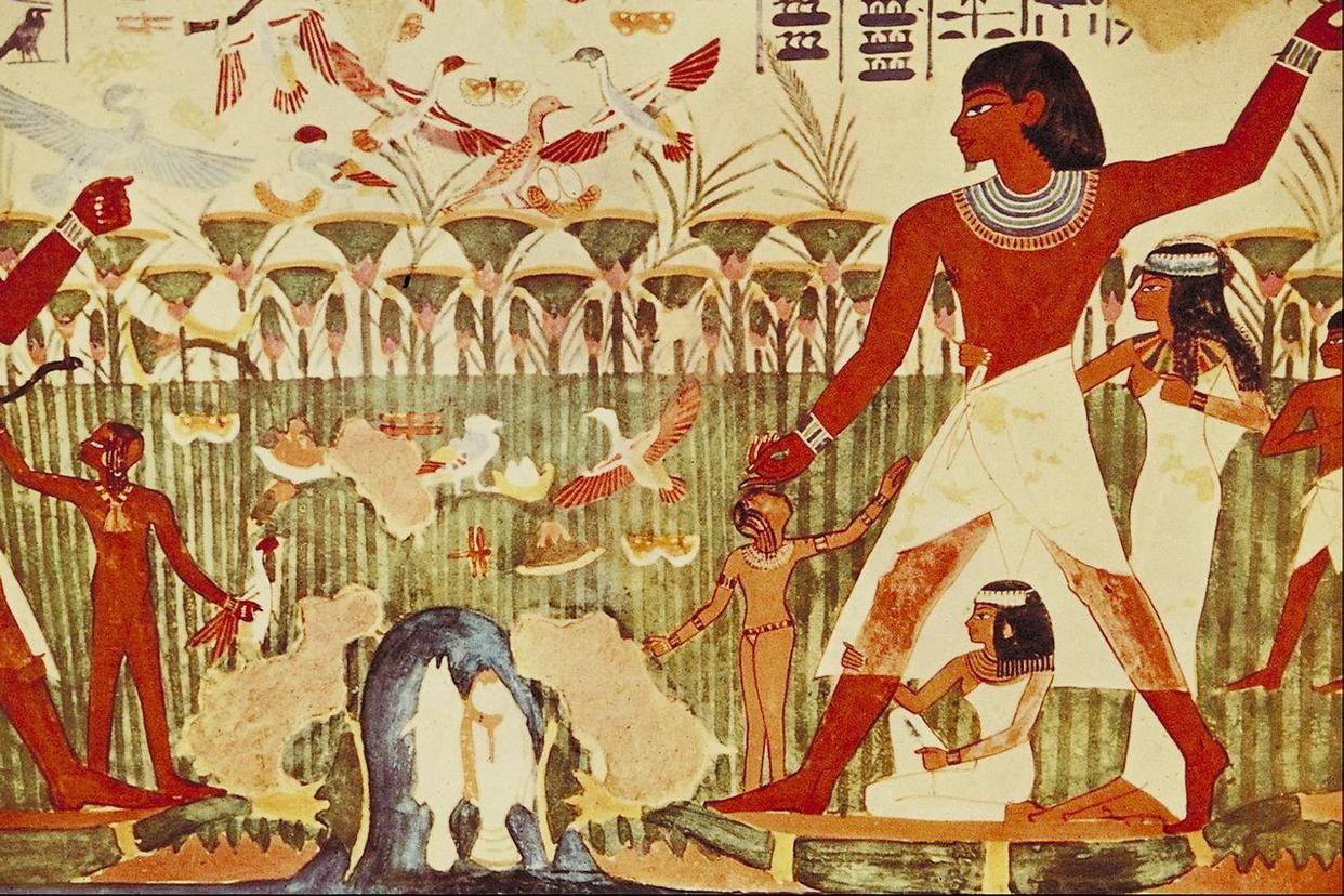 几千年前的埃及人，到底是白人还是黑人？答案可能出乎你的意料