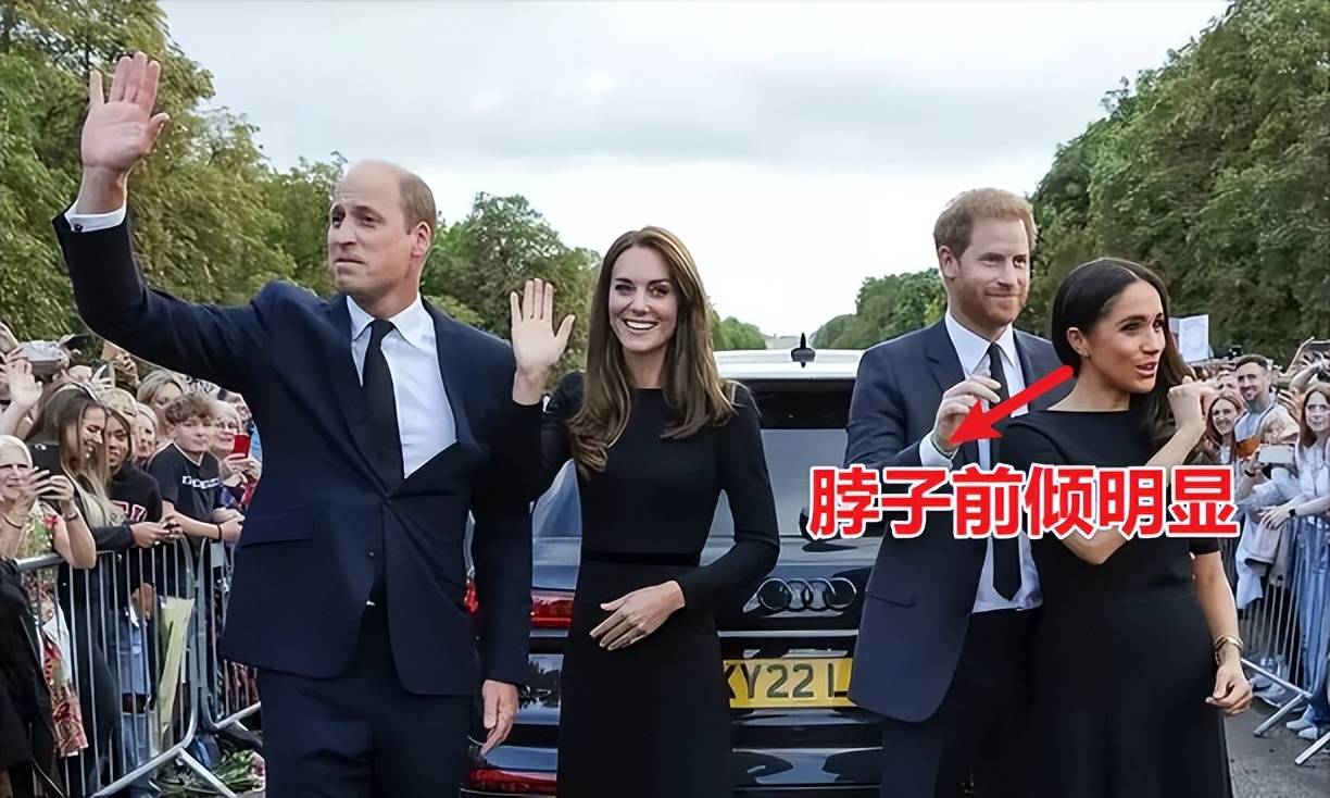 梅根算不算顶级美人?与凯特王妃对比,答案一目了然!