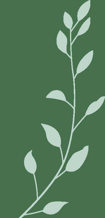 见面会精彩集锦新鲜出炉!