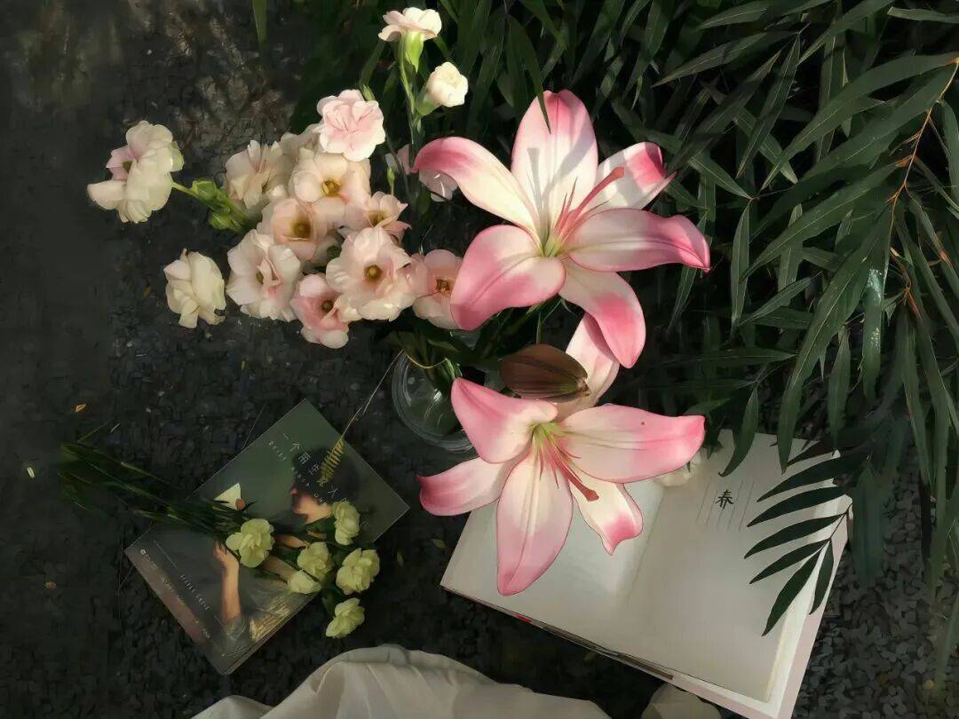 平板壁纸｜4K高清ipad电脑壁纸50张直接存