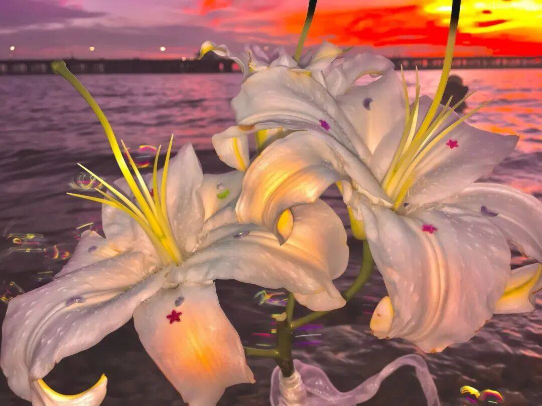 平板壁纸｜4K高清ipad电脑壁纸50张直接存